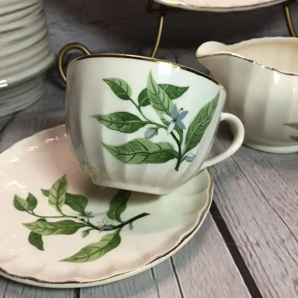 vtg 1950s W.S. GEORGE Bolero Dinnerware Cottagecore floral mid-century classic
